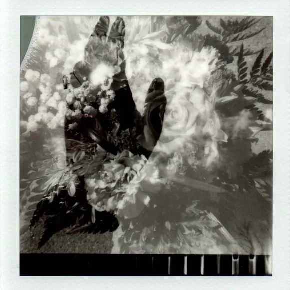 Hello! - Picture 2 of 11